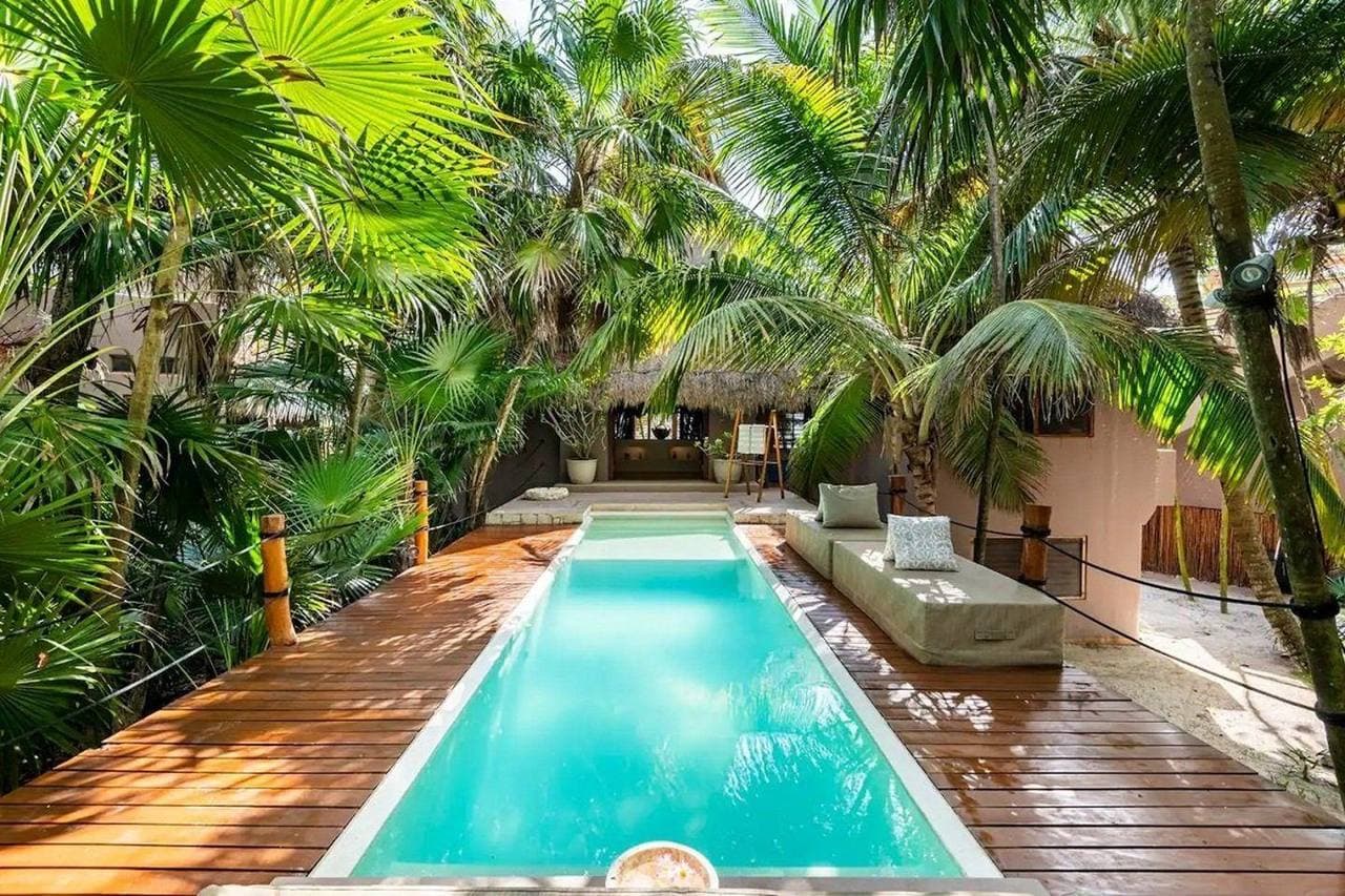 Piscina entre palmeras en un patio del sureste